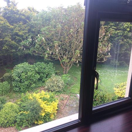 Abrae House Guest House Rosslare Harbour Eksteriør bilde