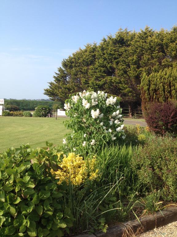 Abrae House Guest House Rosslare Harbour Eksteriør bilde